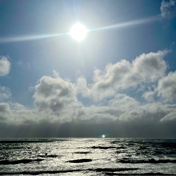 Meet your Posher, Chiara - Picture 1 of 1